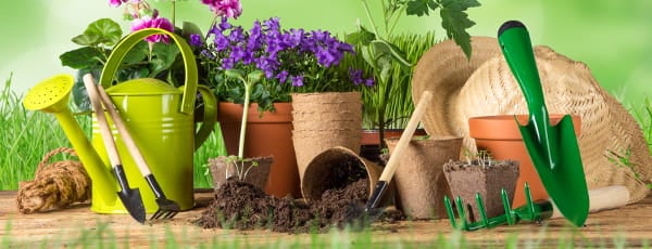 10 съвета за начинаещи градинари - Gradinamax 10 съвета за начинаещи градинари