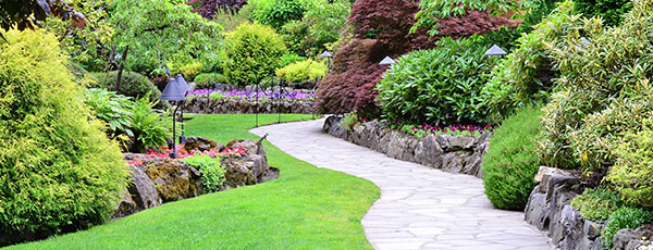 Грижи за трева през лятото: поливане, торене и борба с плевелите