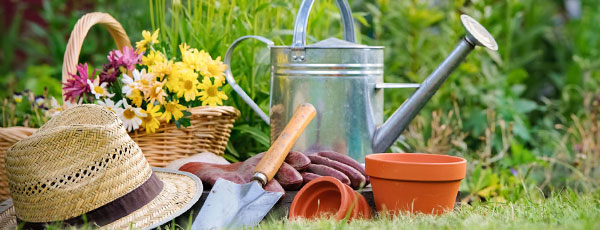 Календар на градинарите — юли 2022 г - Gradinamax Календар на градинарите — юли 2022 г