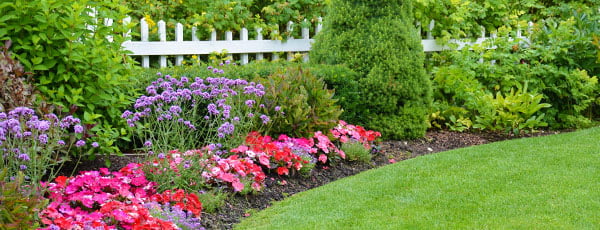 Семена за тревни площи - кои да изберем - Gradinamax Семена за тревни площи - кои да изберем