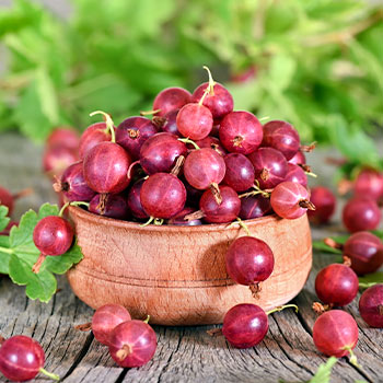 Цариградско грозде