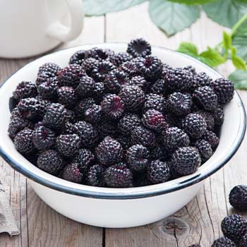 Черна малина