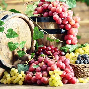 Грозде за вино