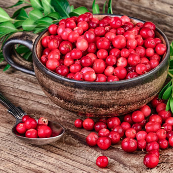 Клюква (червена боровинка)