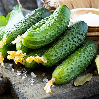 Краставица