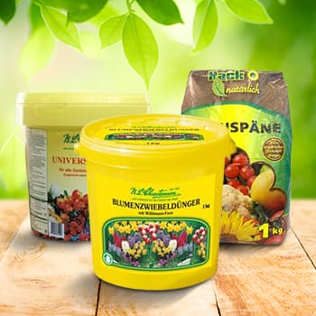 За луковични цветя