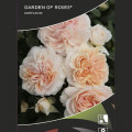 Роза флорибунда Garden of Roses®, C5 изображение 2 артикул 5822