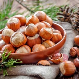 Лешник Kuban изображение 6