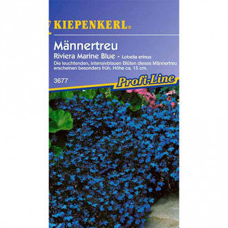 Бодлива лобелия Riviera Marine Blue изображение 4