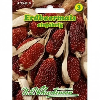 Декоративна царевица Erdbeermais изображение 4