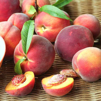 Праскова Carlo изображение 10