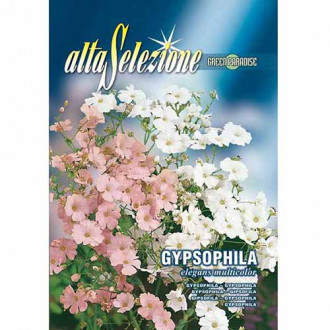 Гипсофила Eleganta, смес от цветове изображение 2