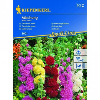 Градинска ружа, смес Kiepenkerl изображение 2
