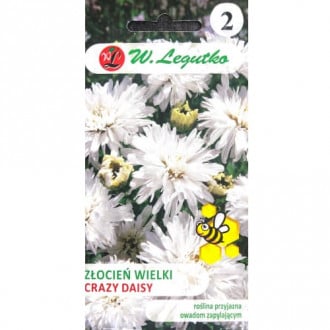 Хризантема Crazy Daisy бяла Legutko изображение 2