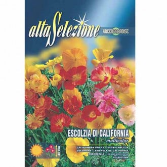 Калифорнийски мак едроцветен, смес от цветове изображение 4