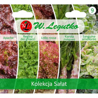 Колекция салати, 5 сорта изображение 1