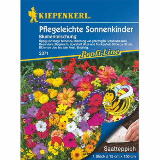 Летни цветя Pflegeleichte Sonnenkinder, семенно платно изображение 4