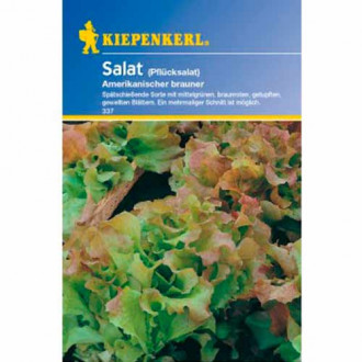 Листна салата Frisée d'Amérique изображение 1