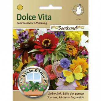 Лятна смес от балконски цветя Dolce Vita изображение 1