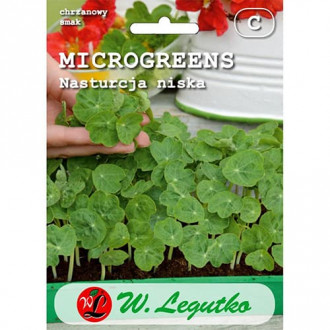 Microgreens - Латинка ниска изображение 3