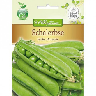 Грах Fruhe Harzerin изображение 5