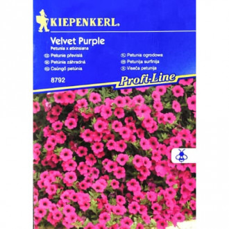 Петуния Velvet Purple F1 Kiepenkerl изображение 3