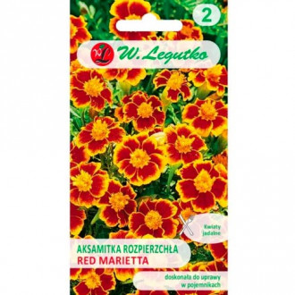 Тагетес разпръснати с единични цветя Red Marietta Legutko изображение 2