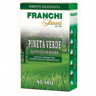 Тревна трева за моравата Pineta Verde изображение 1