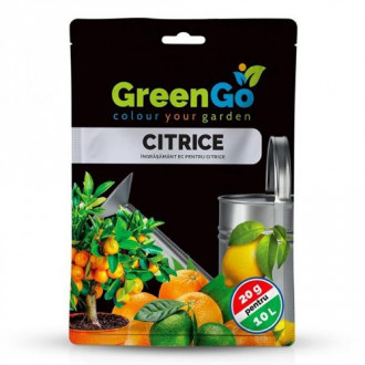 Цитрусов тор GreenGo Citrice изображение 2