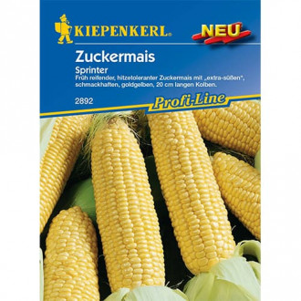 Захарна царевица Sprinter F1 Kiepenkerl изображение 5