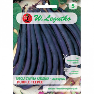 Зелен фасул нисък Purple Teepee изображение 6