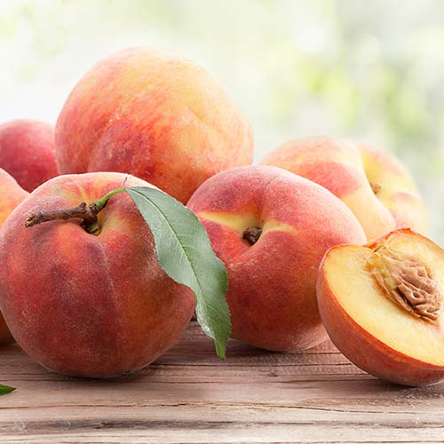 Праскова Suzee 699 изображение 1 артикул 4304