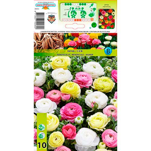 Лютиче Pastel Mix артикул фото 1 Лютиче Pastel Mix изображение 1 артикул 76356