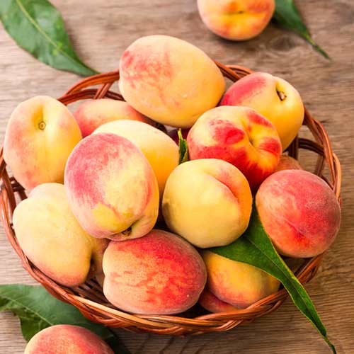 Праскова Lolita артикул фото 1 Праскова Lolita изображение 1 артикул 4295