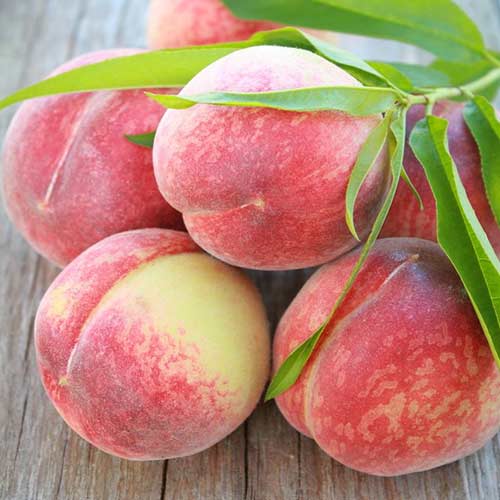 Праскова Contessa изображение 1 артикул 4291