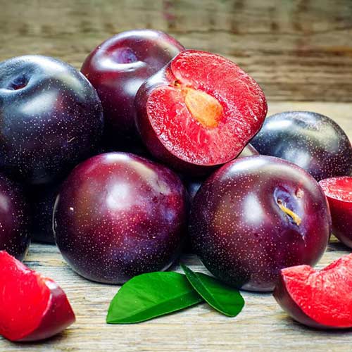 Слива Sonic Lady, С2 изображение 1 артикул 4313