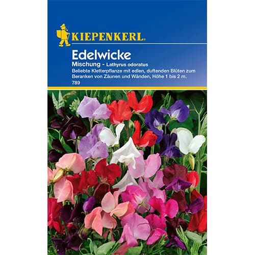 Декоративен грах, смес Kiepenkerl артикул фото 1 Декоративен грах, смес Kiepenkerl изображение 1 артикул 77415