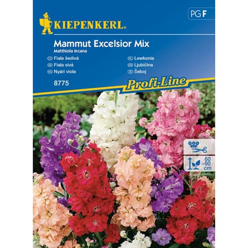 Летен левкой Excelsior, смес от цветове изображение 1 артикул 96558