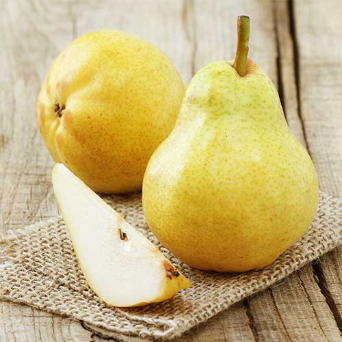 Круша Highland изображение 1 артикул 7952