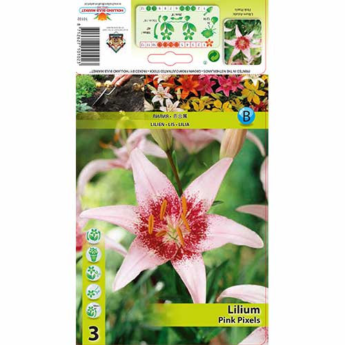 Лилиум Pink Pixels изображение 1 артикул 76605