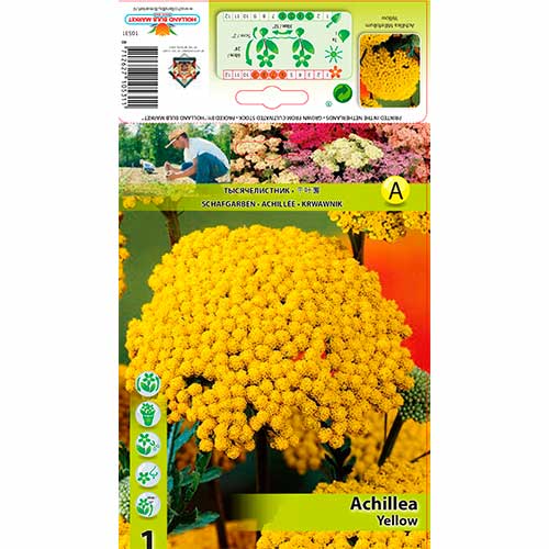 Ахиллея Yellow изображение 1 артикул 76156