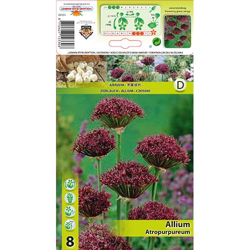 Алиум Atropurpureum артикул фото 1 Алиум Atropurpureum изображение 1 артикул 68053