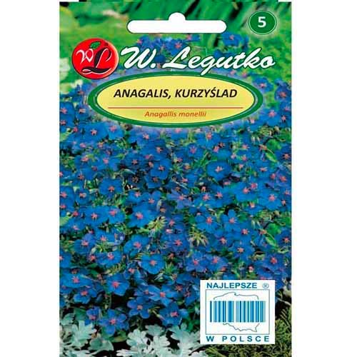 Анагалис син Legutko изображение 1 артикул 96764