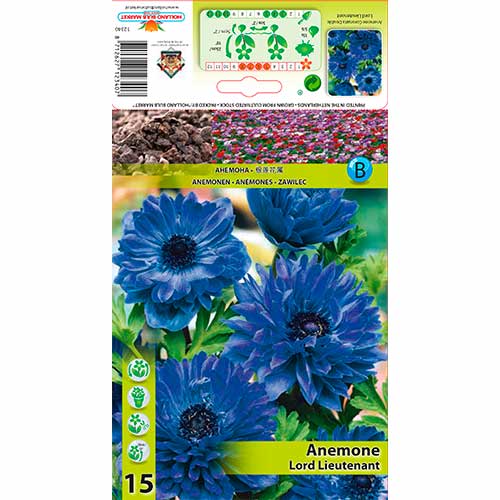 Анемония Double Lord Lieutenant изображение 1 артикул 76165