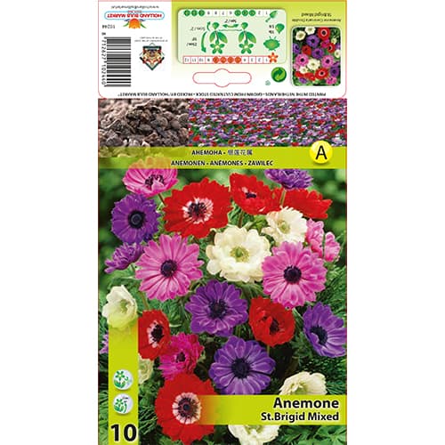 Анемония St. Brigid Mixed артикул фото 1 Анемония St. Brigid Mixed изображение 1 артикул 70341