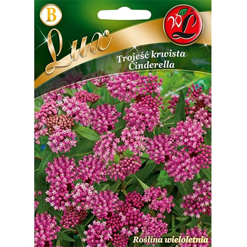 Аскелепиас Cinderella изображение 1 артикул 96780