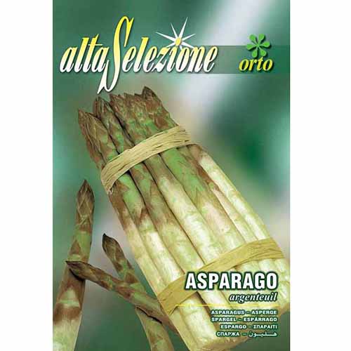 Аспержи Argenteuil изображение 1 артикул 96398