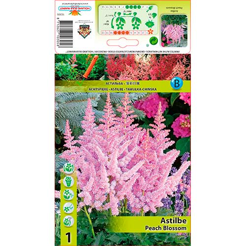 Астилбе Peach Blossom артикул фото 1 Астилбе Peach Blossom изображение 1 артикул 76180