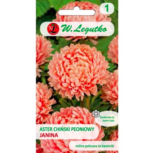 Астра китайска божур Janina сьомга Legutko изображение 1 артикул 78522