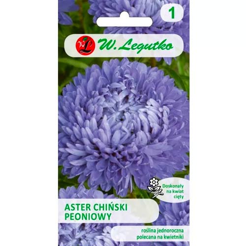 Астра китайска божур син Legutko изображение 1 артикул 78527